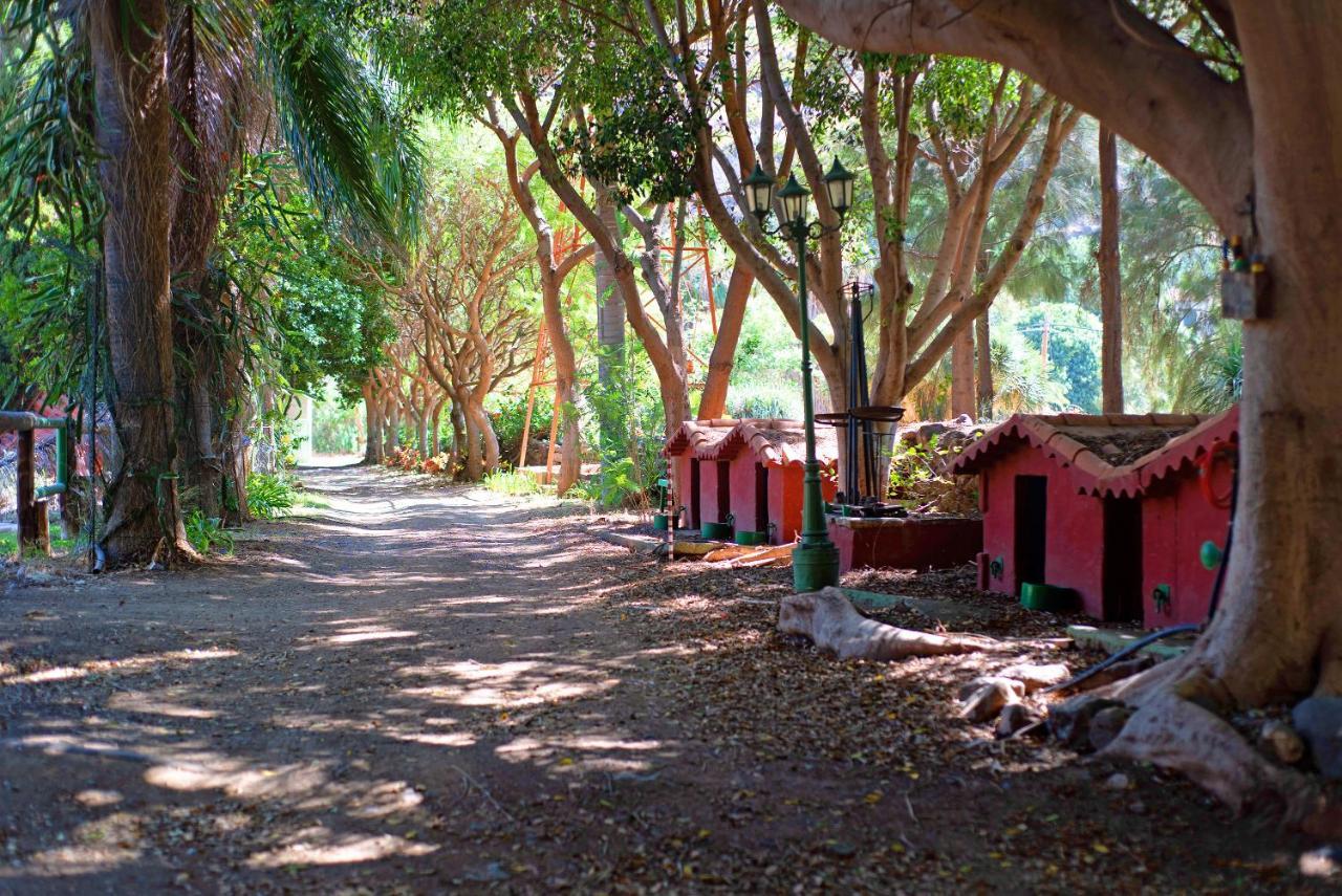 Villa La Casa Del Molino De Viento à Agaete  Extérieur photo